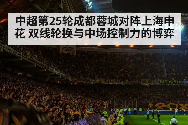 football stadium night crowd